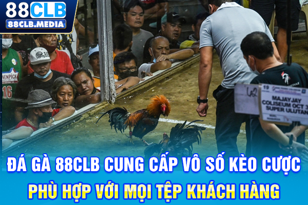 Đá Gà 88CLB cung cấp vô số kèo cược phù hợp với mọi tệp khách hàng