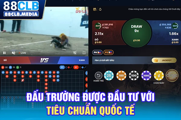 Đấu trường được đầu tư với tiêu chuẩn quốc tế