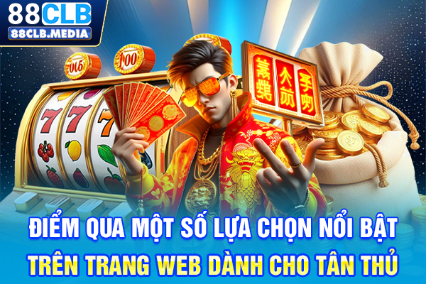 Điểm qua một số lựa chọn nổi bật trên trang web dành cho tân thủ