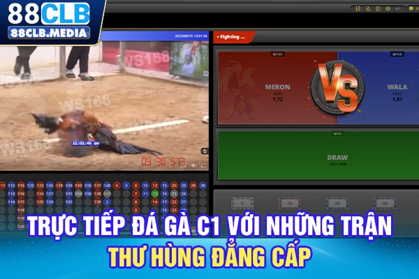 Trực Tiếp Đà Gà C1 Với Những Trận Thư Hùng Đẳng Cấp