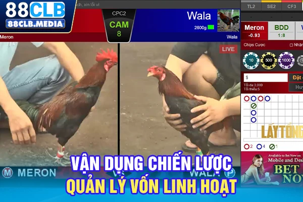 Vận dụng chiến lược quản lý vốn linh hoạt